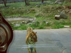 -西安秦岭野生动物园