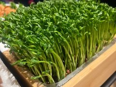 -山城辣妹子(定福庄店)