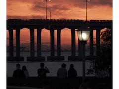 -宝安西湾红树林湿地公园