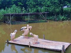 -宁波杭州湾国家湿地公园