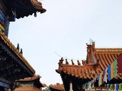 -大召无量寺