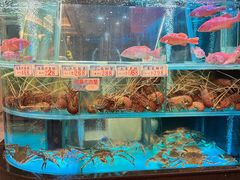 -海港酒家(上水新丰店)