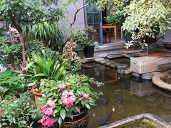 -海韵人家.海景花园经典云南菜(双廊店)