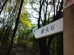 -火炉山森林公园
