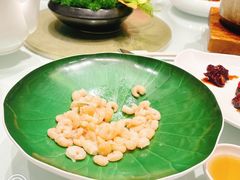 龙井虾仁（清炒）-张生记(丁香国际店)