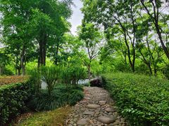 -白塘生态植物园
