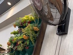 -歹歹的加个面过油肉拌面