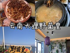 -野菌皇海景野生菌火锅(滨海大道店)