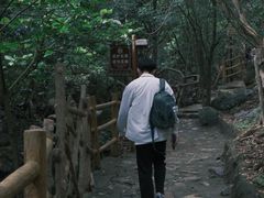 -牛鱼嘴原始生态风景区