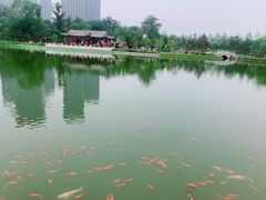 -西海子公园