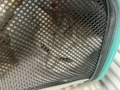 -宠福鑫动物医院(城北分院)