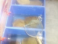 -状元甲·湖北甲鱼大王(汉口火车站店)
