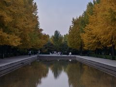 -玲珑塔公园