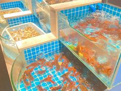 -蓉城四海黑牛烤肉海鲜自助餐厅(宜兴宝龙店)