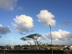 -塞班岛国际机场