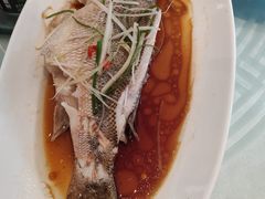 -玉林烤鸭店(定福庄店)
