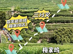 -香芙茗茶楼(梅家坞总店)