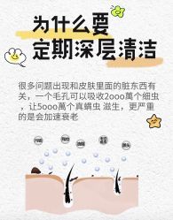 -薇薇安花系SPA