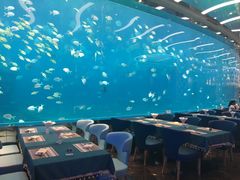 -瑞德姆美人鱼海底演艺主题餐厅(亚龙湾店)