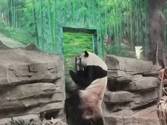 -灵玲国际马戏城