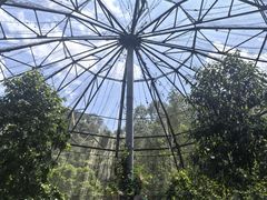 -野象谷景区