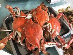-渔民船说·北塘海鲜·天津菜·海肠捞饭(北塘古镇店)