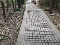 -紫金山山顶公园