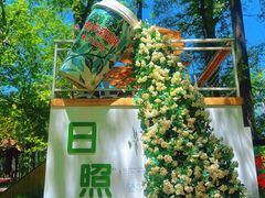 -日照海滨国家森林公园
