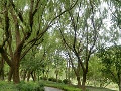 -昆山城市生态森林公园