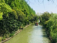 -上海长兴岛郊野公园