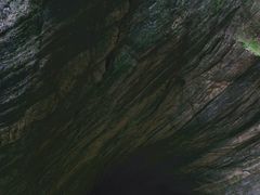 -牛背梁国家森林公园