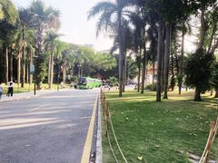 -深圳仙湖植物园