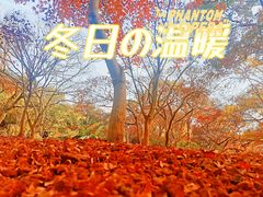 -秋霞圃
