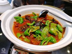 红烧野生甲鱼-茶叁酒肆·楚味江湖(菱角湖店)