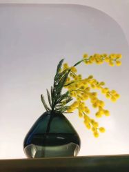 -YESIDO椰岛美容