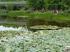 -白鹭湾湿地公园