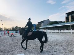 -上海崇明金茂凯悦酒店