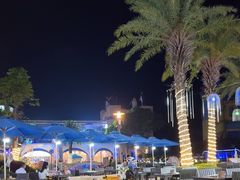 -喷泉广场餐厅·宵夜·海鲜烧烤大排档(长隆企鹅酒店)