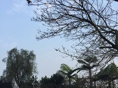 -鱼凫人家