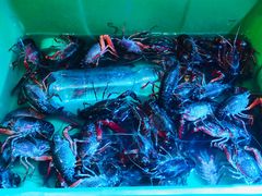 小龙虾-异特麻辣香锅·烤鱼(怀柔店)