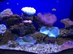 石家庄动物园-石家庄市动物园