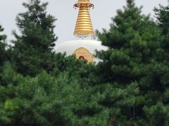 -护国法轮寺