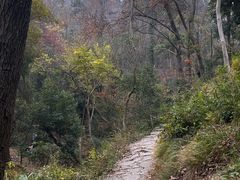 -青龙山国家森林公园
