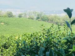 -南京市江宁方山
