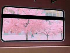-金茂览秀城