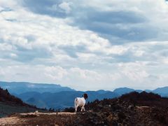 -武陵山森林公园