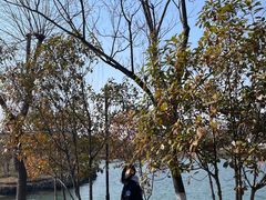 -东台西溪天仙缘景区