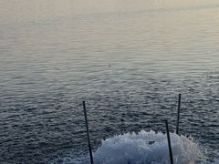 -漕湖湿地公园