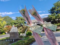 -北京鲁迅博物馆(北京新文化运动纪念馆鲁博馆区)