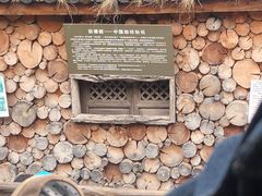 -田德能咖啡博物馆